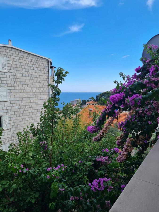 Apartments Deranja II Dubrovnik Ngoại thất bức ảnh